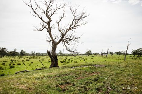 Property photo of 90 Kettles Road Lang Lang VIC 3984