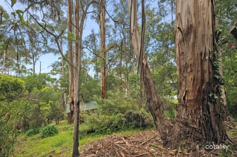 Property photo of 6 Karingal Drive Wye River VIC 3234