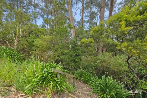 Property photo of 6 Karingal Drive Wye River VIC 3234