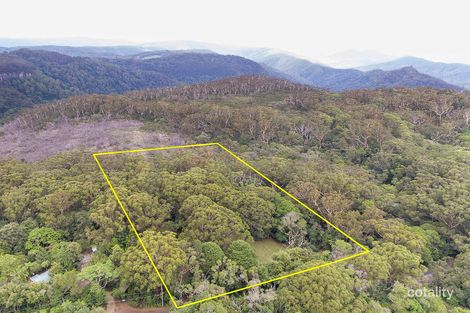 Property photo of 2875 Springbrook Road Springbrook QLD 4213