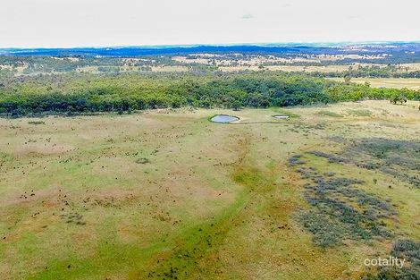 74 Flacknell Creek Rd, Broadway, NSW 2581