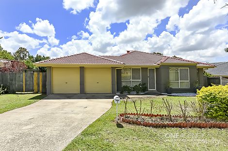 Property photo of 3 Gecko Place Doolandella QLD 4077