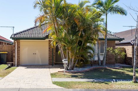 Property photo of 43 Macleay Crescent Tingalpa QLD 4173