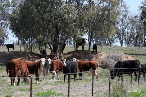 Property photo of 4482 Oxley Highway Somerton NSW 2340