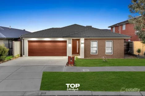 21 Lace Monitor Cct, Clyde North, VIC 3978