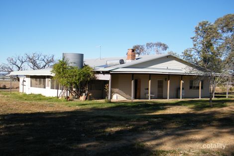 102 Tathra Lane, Spring Ridge, NSW 2343