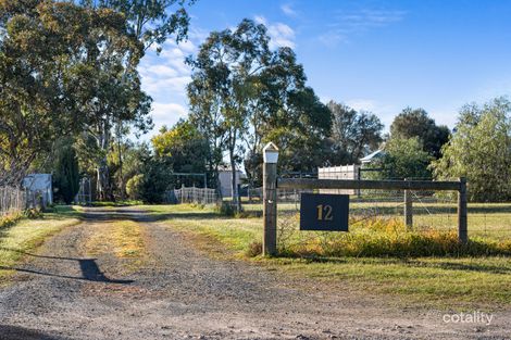 12 Pederick Ct, Lewiston, SA 5501