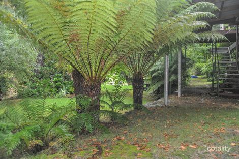 Property photo of 7439 Mansfield-Woods Point Road Gaffneys Creek VIC 3723