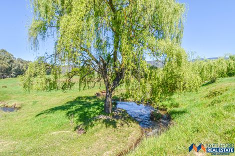 2 Green Lane, Dederang, VIC 3691