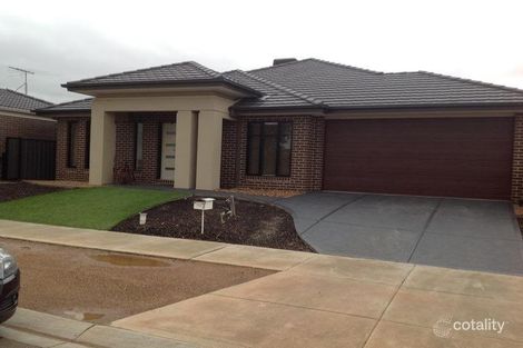 Property photo of 7 Begonia Road Tarneit VIC 3029