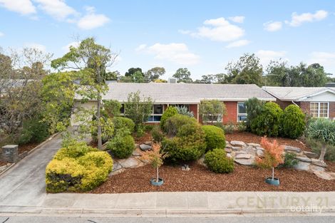 Property photo of 19 Calomba Crescent Happy Valley SA 5159