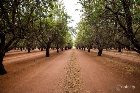 2767 Hunter Rd, Swan Reach, SA 5354