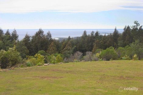 Property photo of 1 Mt Elephant Road Gray TAS 7215
