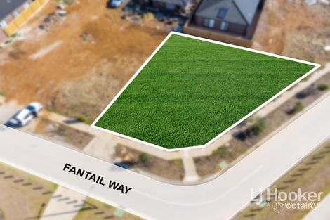 Property photo of 106 Fantail Way Brookfield VIC 3338