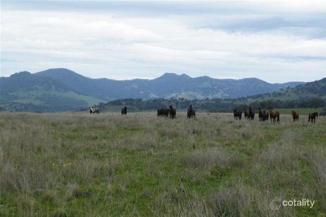 Property photo of 562 Big Jacks Creek Road Big Jacks Creek NSW 2339