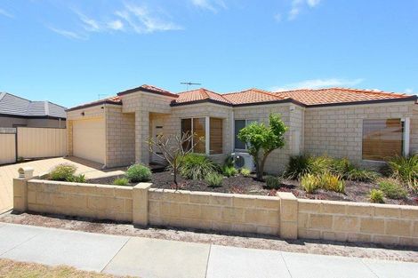 Property photo of 266A Albert Street Balcatta WA 6021