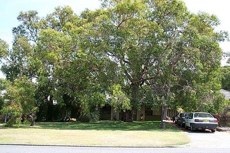 8 Clive St, Bicton, WA 6157