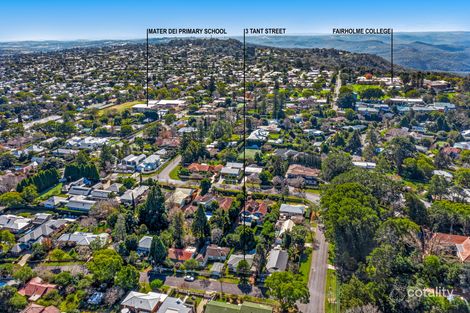 Property photo of 3 Tant Street East Toowoomba QLD 4350