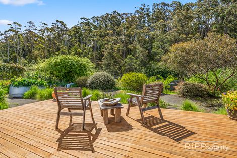 Property photo of 2/67A Strickland Avenue South Hobart TAS 7004