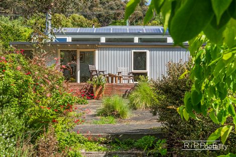 Property photo of 2/67A Strickland Avenue South Hobart TAS 7004
