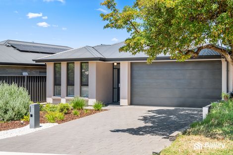 33 Von Braun Cres, Modbury North, SA 5092
