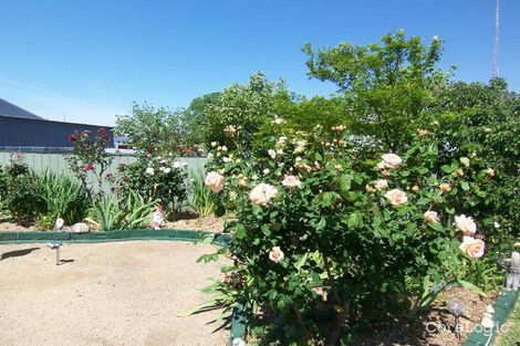 Property photo of 118 Thompson Street Cootamundra NSW 2590