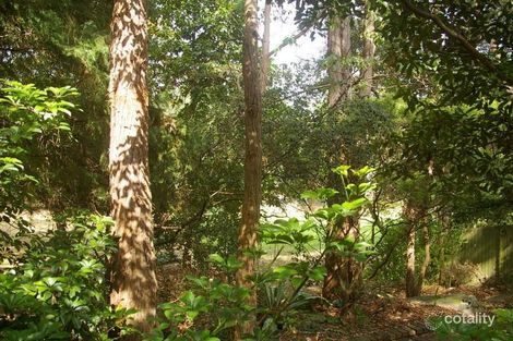 Property photo of 6 Kiola Place Castle Hill NSW 2154