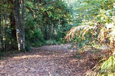 631 Dry Creek Rd, Upper Orara, NSW 2450