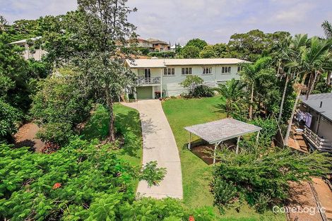 Property photo of 67 Dunrod Street Holland Park West QLD 4121