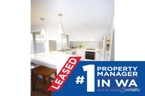 Property photo of 116A Harrison Street Nollamara WA 6061