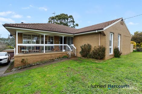 Property photo of 29 Myrtle Street Alexandra VIC 3714