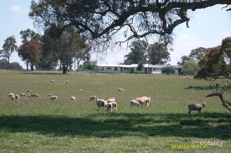 Property photo of 456 Junction Road Tenterden NSW 2365
