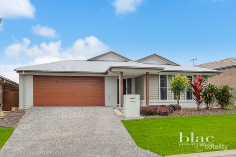23 Cooloola Cct, Warner, QLD 4500