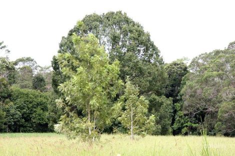 Property photo of 31 Cleminson Close Malanda QLD 4885