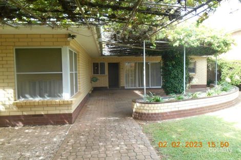 Property photo of 69 Murray Avenue Renmark SA 5341