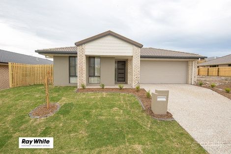 Property photo of 32 Avondale Drive Pimpama QLD 4209