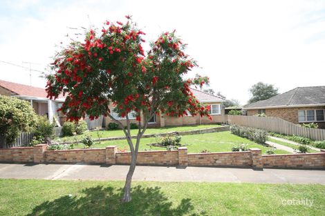 3 Findlay Gr, Belmont, VIC 3216