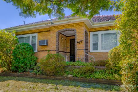 Property photo of 79 Pascoe Street Glen Iris VIC 3146