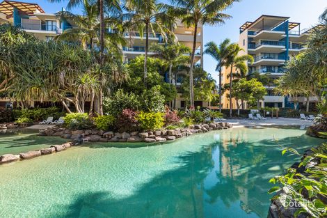 236/21 Wirraway St, Alexandra Headland, QLD 4572