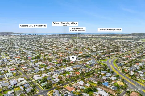 Property photo of 7 Allitt Avenue Belmont VIC 3216