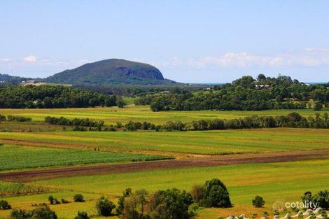 Property photo of 17 Willis Road Bli Bli QLD 4560