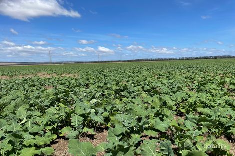 6405 Woolsthorpe-Heywood Rd, Heywood, VIC 3304