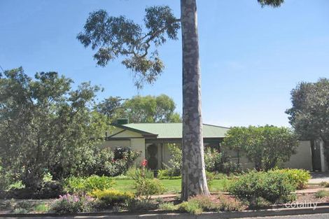 Property photo of 4 Canis Avenue Hope Valley SA 5090