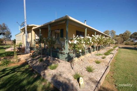 Property photo of 51 Bencubbin Avenue Coleambally NSW 2707