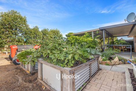 13 Rogers Ave, Collie, WA 6225
