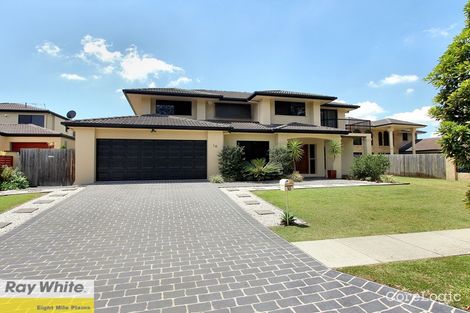 Property photo of 10 White Cedar Circuit Stretton QLD 4116