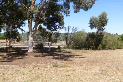 Property photo of 17 Gosse Avenue Loxton SA 5333