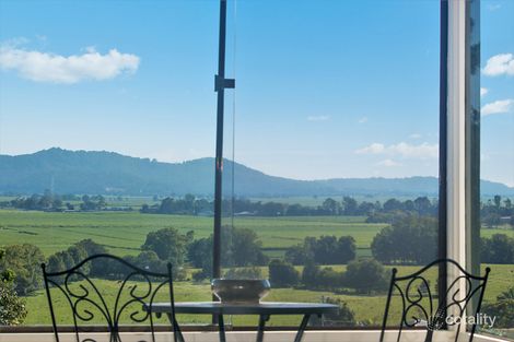 Property photo of 14 Ewing Street Murwillumbah NSW 2484