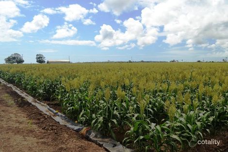 394 Ferguson Rd, Airdmillan, QLD 4807