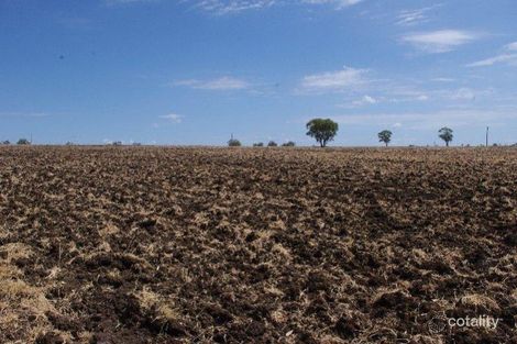 574 Coolatai Rd, Wallangra, NSW 2360